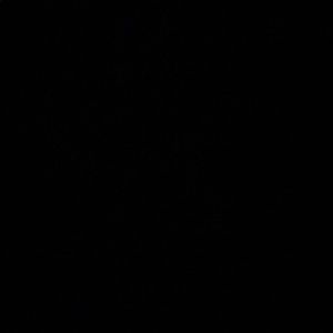 Meet your Posher, Jewell